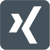 Xing logo