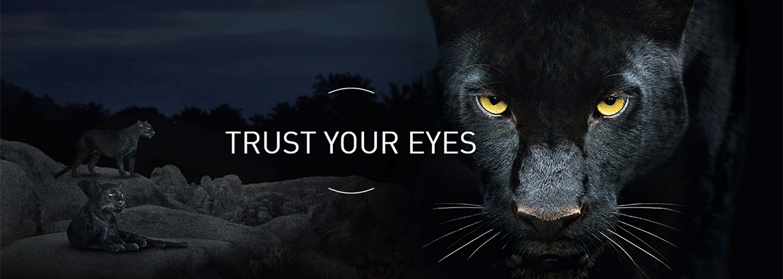 Trust your eyes
