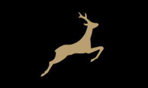 Zum goldenen Hirschen Berlin GmbH