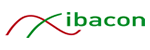 ibacon GmbH