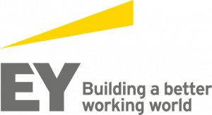 Ernst & Young GmbH Wirtschaftsprüfungsgesellschaft